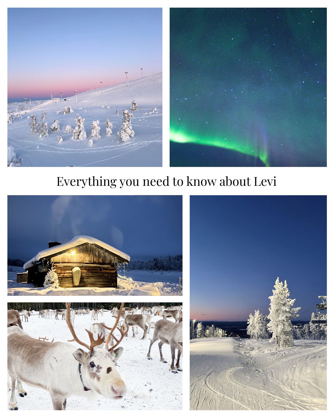 Digital Travel Guide to Levi Lapland (winter edition) + Google Maps Pinpoints